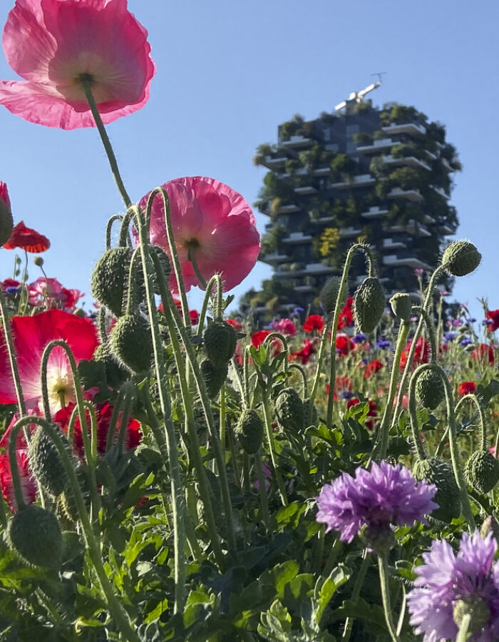 CARACAUSI CLAUDIA_SCORCI DI LENTEZZA_02_1